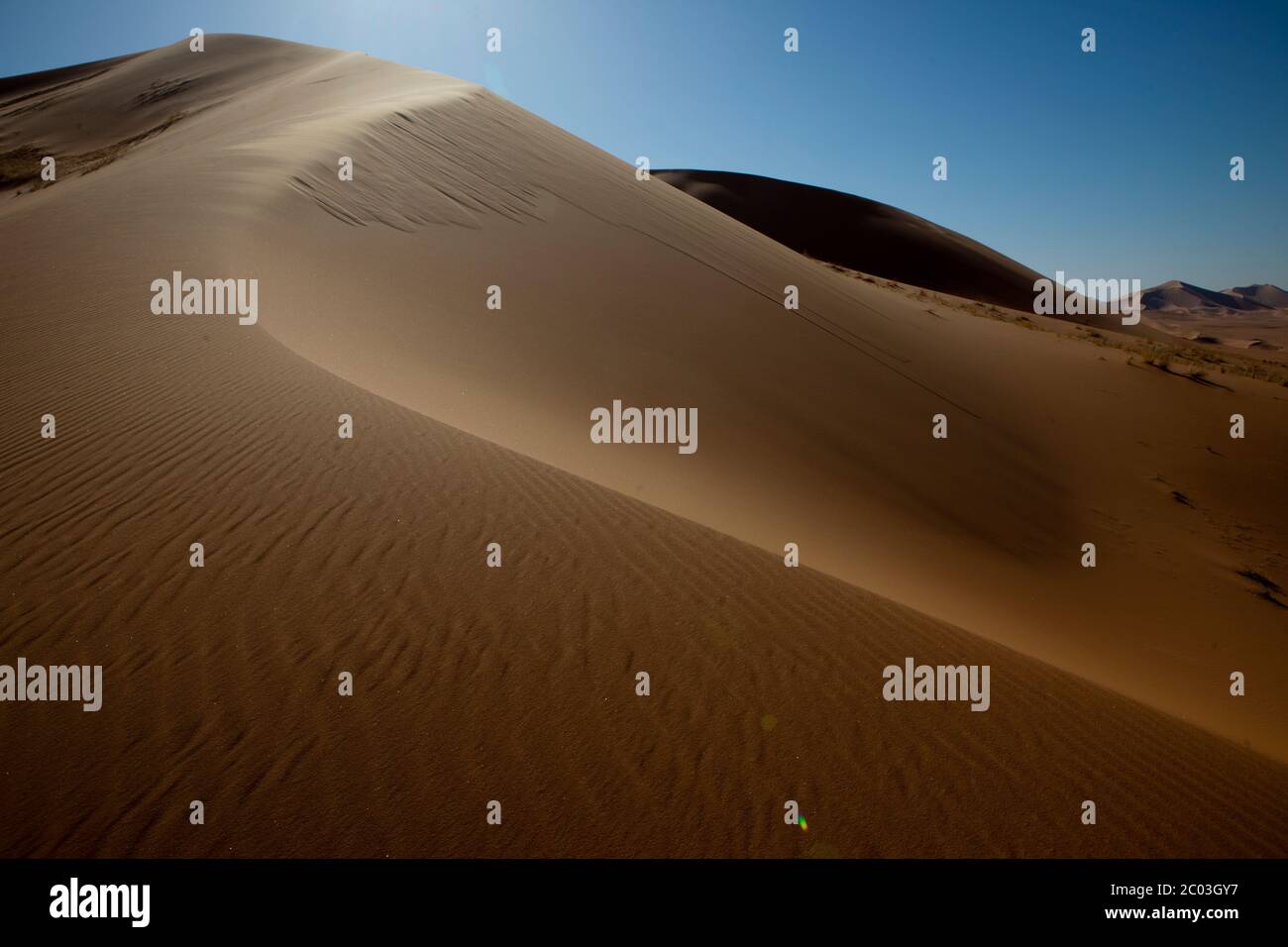 Dunes de sable dans le désert du Sahara, Afrique du Nord. Banque D'Images
