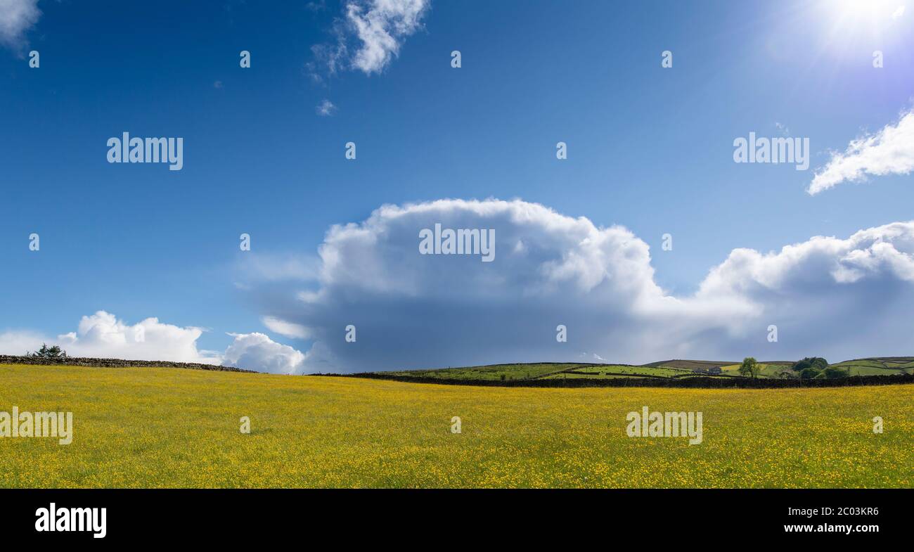 Rassemblement de nuages de tempête en début de soirée d'été, parc national de Yorkshire Dales, Royaume-Uni. Banque D'Images