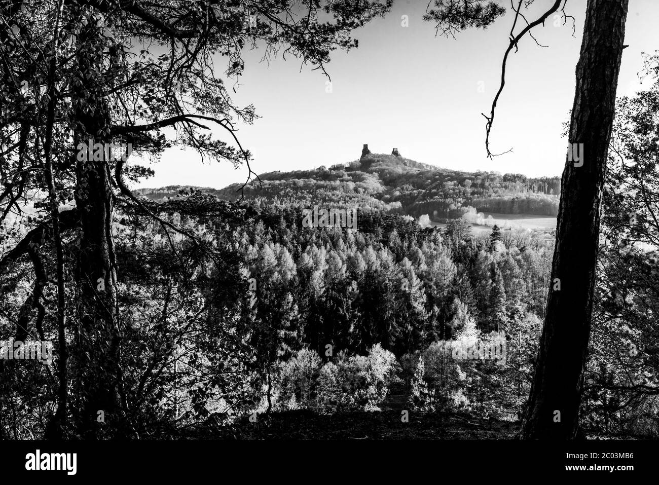 Les ruines du château de Trosky. Deux tours de l'ancien château médiéval sur la colline. Paysage de Paradis tchèque: Cesky raj, République tchèque. Image en noir et blanc. Banque D'Images