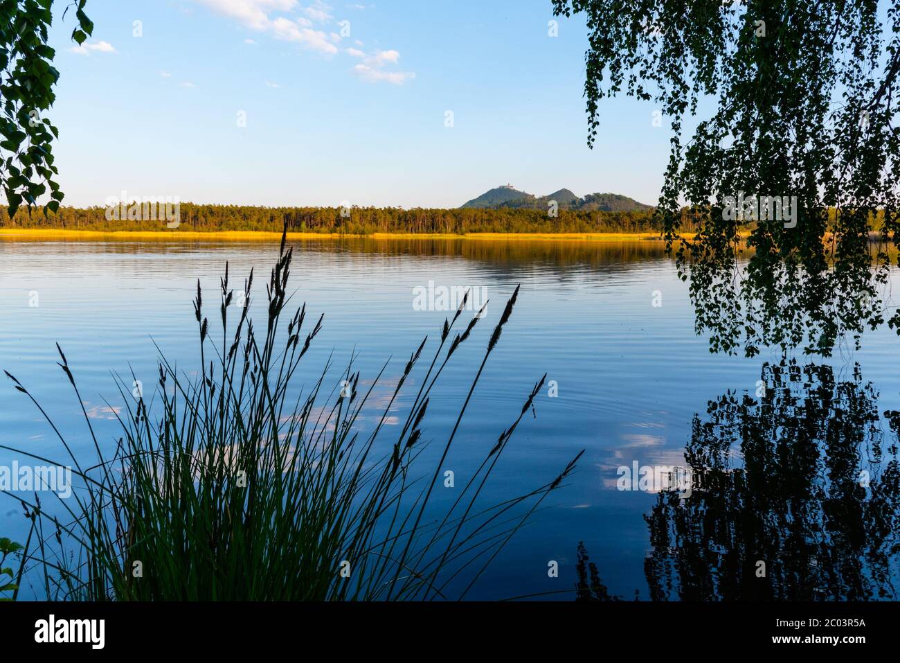 Château médiéval de Bezdez au sommet de la montagne de Bezdez. Se reflète à Brehynsky Pond, République tchèque. Banque D'Images