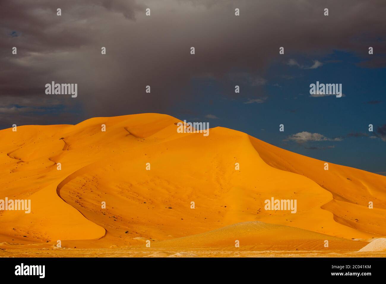 Dunes de sable dans le désert du Sahara, Afrique du Nord. Banque D'Images