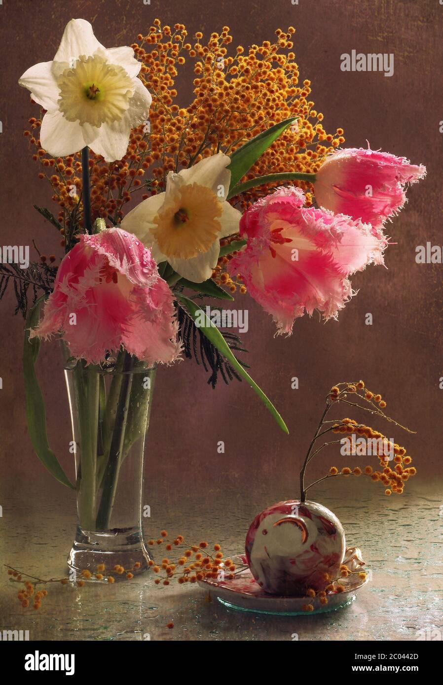 Bouquet de printemps de narcissis, tulipes et mimosa dans un vase transparent Banque D'Images