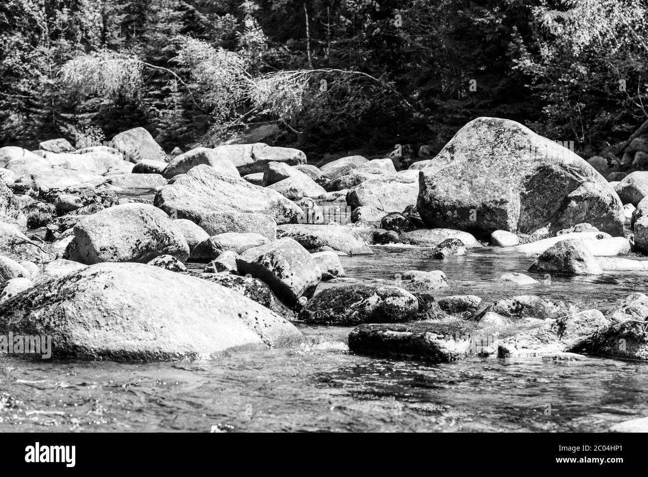 Jizera rivière pleine de rochers de granit le jour ensoleillé d'été, Jizera montagnes, République tchèque. Banque D'Images