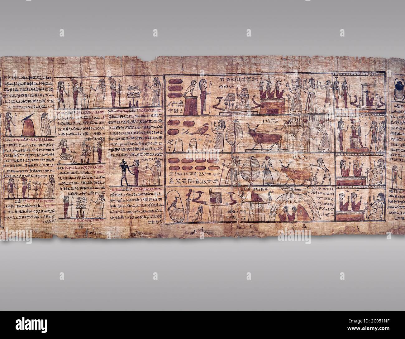 Livre égyptien antique du papyrus mort - période ptoléméenne (722-30BC).Musée égyptien de Turin. Fond gris Banque D'Images
