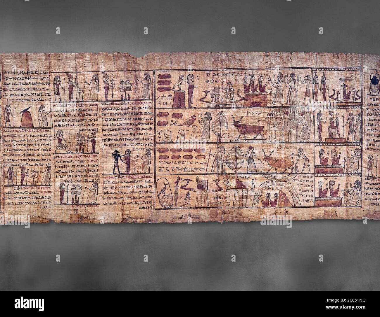 Livre égyptien antique du papyrus mort - période ptoléméenne (722-30BC).Musée égyptien de Turin. Fond gris Banque D'Images