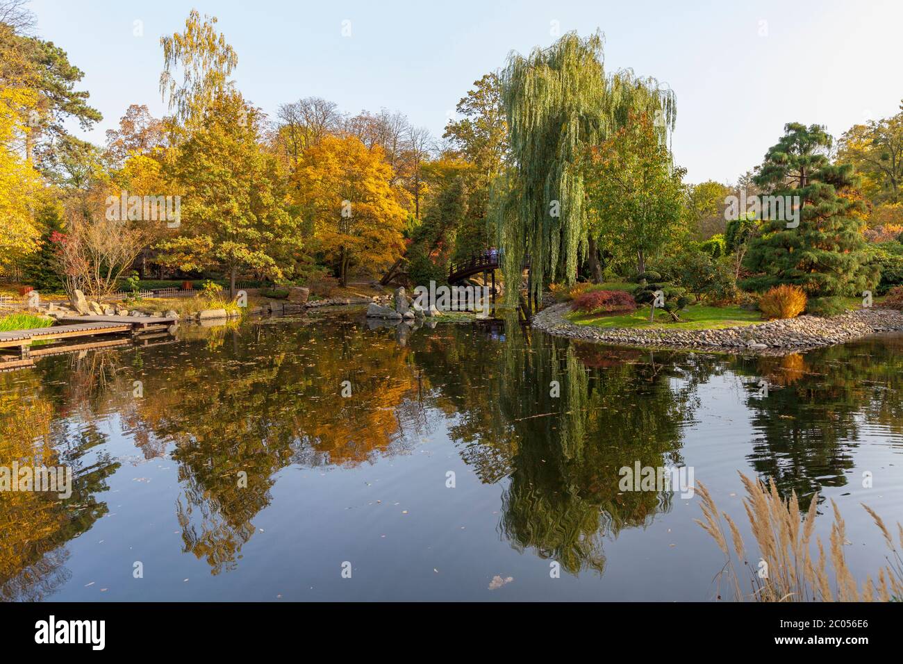 Jardin japonais, le Parc Szczytnicki, Wroclaw, Pologne Banque D'Images