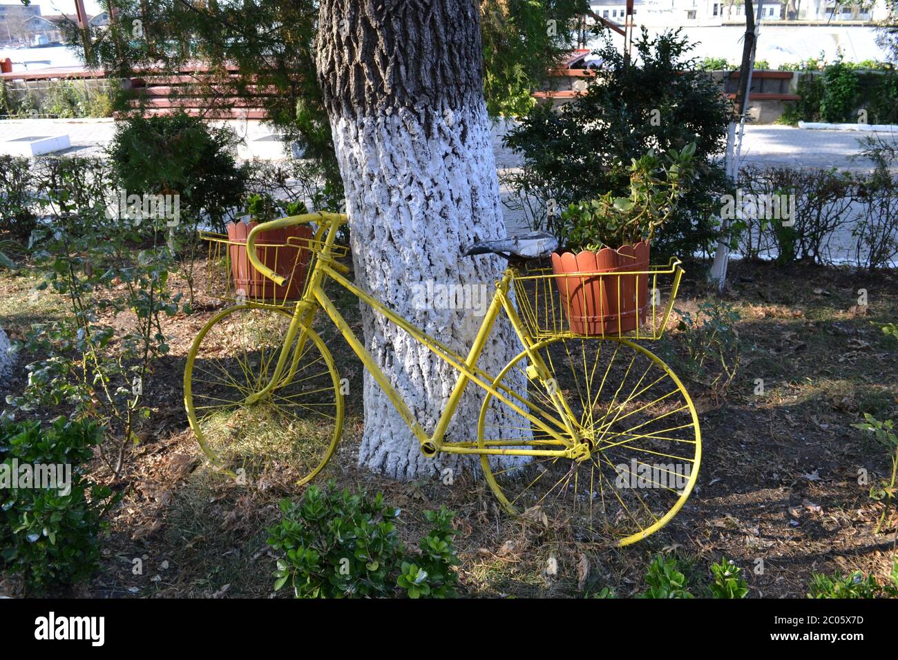 vélo jaune dans le parc Banque D'Images