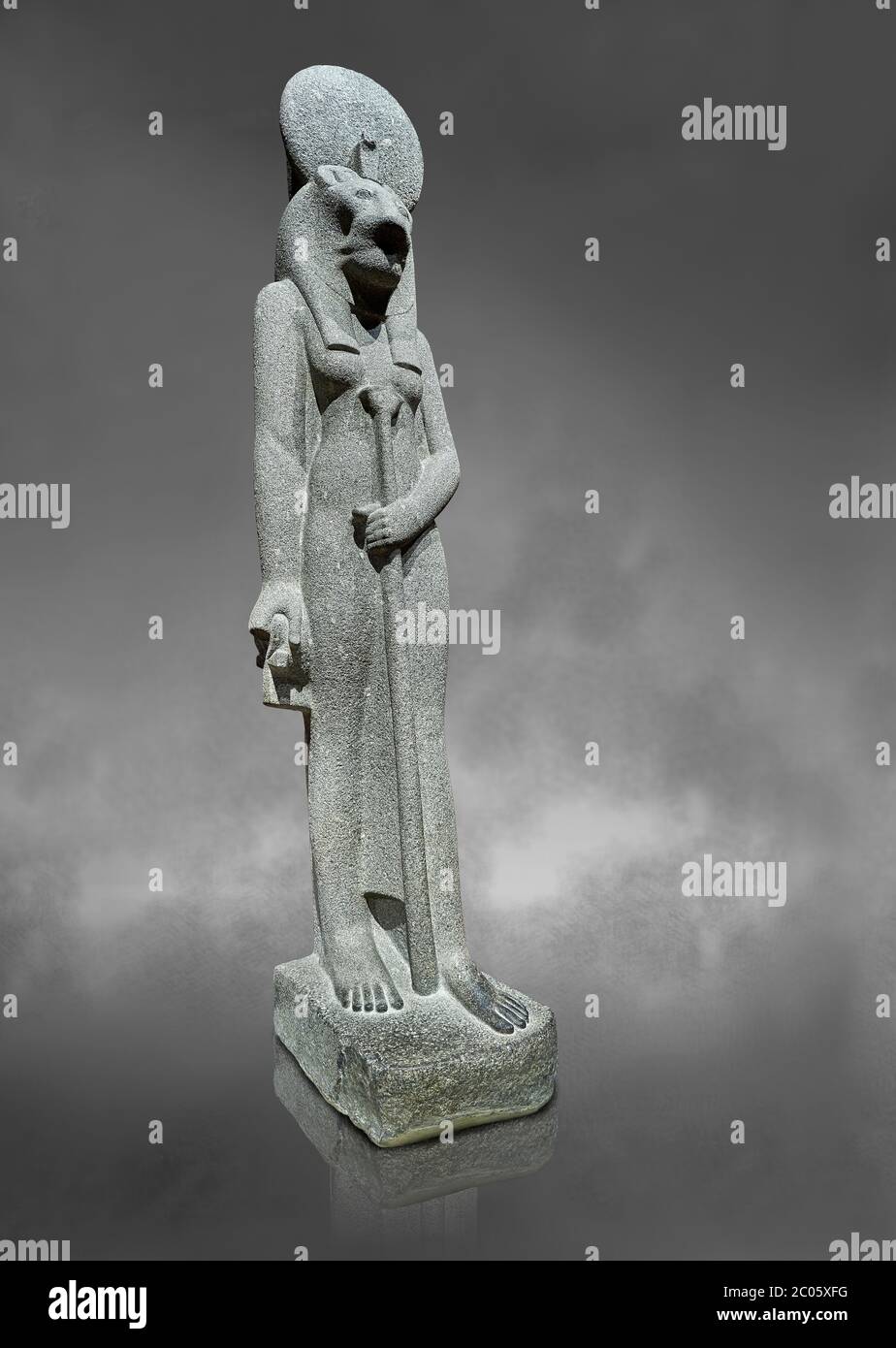 Ancienne statue égyptienne de la déesse Sekhmet, grandiorite, Nouveau Royaume, 18e et 20e dynastie (1156-1150 av. J.-C.), Thèbes. Musée égyptien, Turin. Fond gris Banque D'Images
