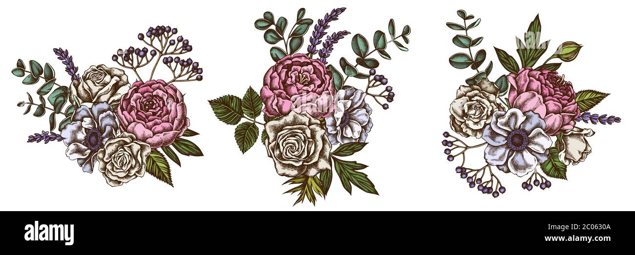 Bouquet de fleurs de roses colorées, anémone, eucalyptus, lavande, pivoine, viburnum Illustration de Vecteur
