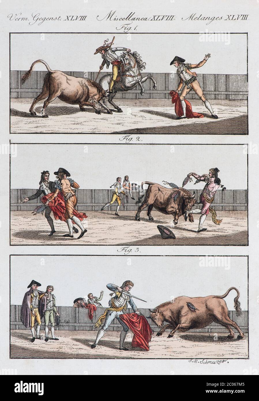 Corrida espagnole, gravure en copperplate de couleur main de Friedrich Justin Bertuch livre d'images pour enfants, 1805, Weimar, Allemagne, Europe Banque D'Images