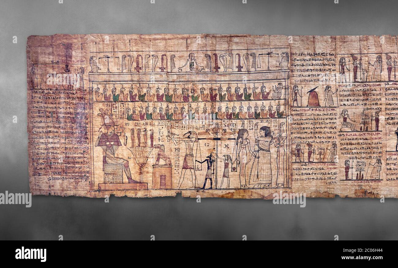 Livre égyptien antique du papyrus mort - période ptoléméenne (722-30BC).Musée égyptien de Turin. Fond gris Banque D'Images