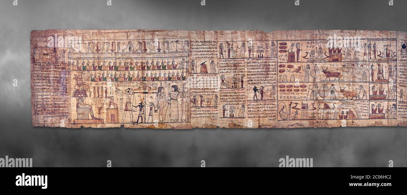 Livre égyptien antique du papyrus mort - période ptoléméenne (722-30BC).Musée égyptien de Turin. Fond gris Banque D'Images