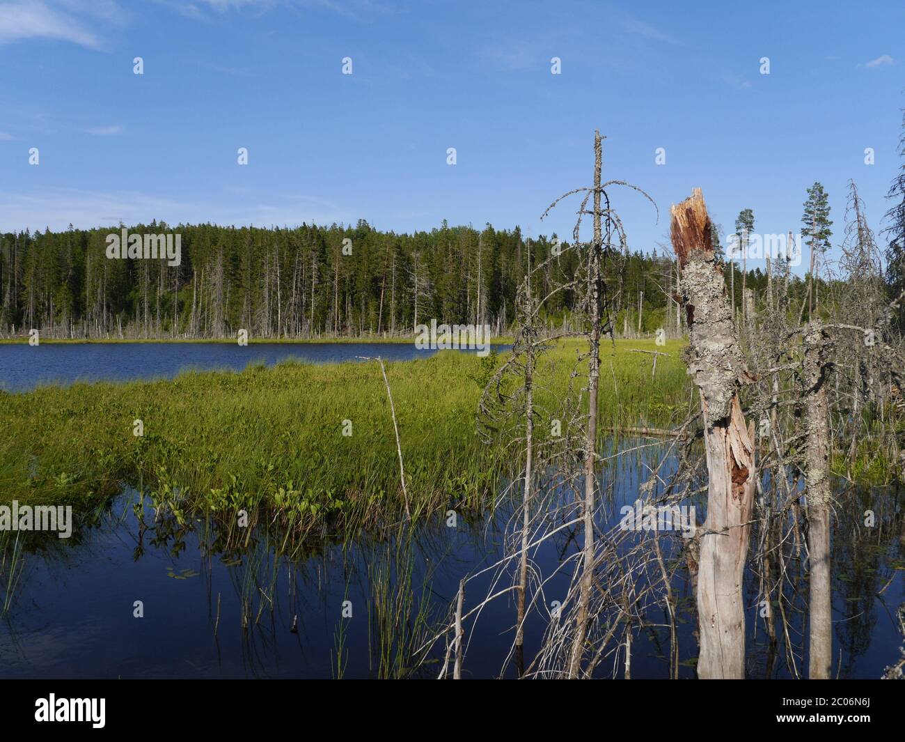 Paysage en Suède Banque D'Images