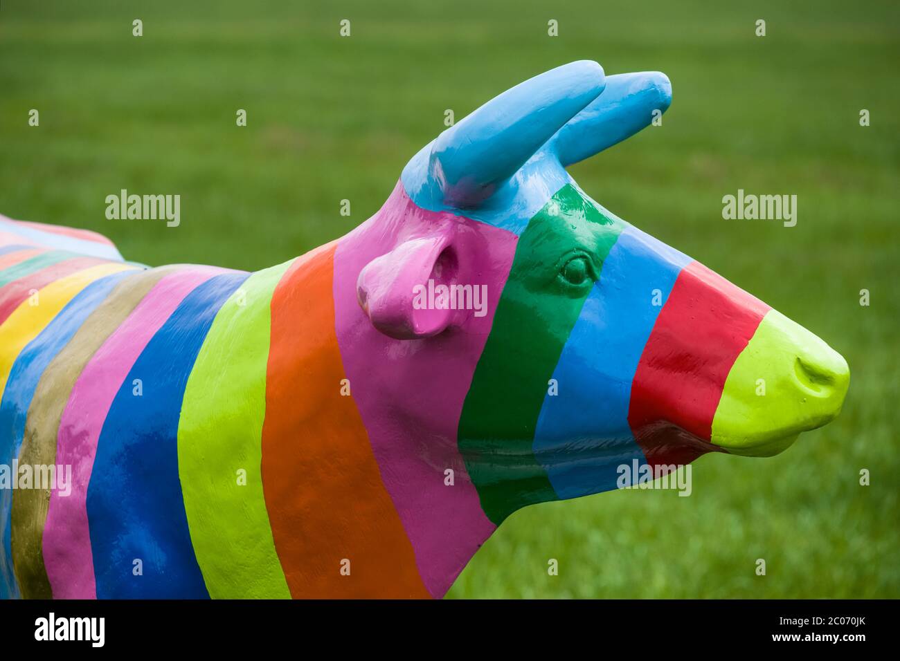 Tête d'une vache en plastique pleine grandeur peinte avec toutes les couleurs de l'arc-en-ciel debout dans un pré aux pays-Bas. Image verticale Banque D'Images