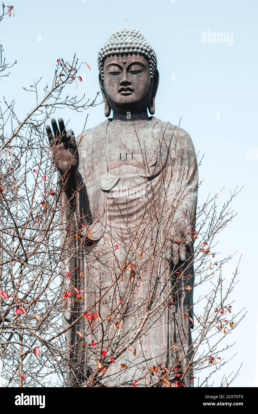 La troisième plus grande statue de Bouddha dans le monde à Ushiku Japon Banque D'Images