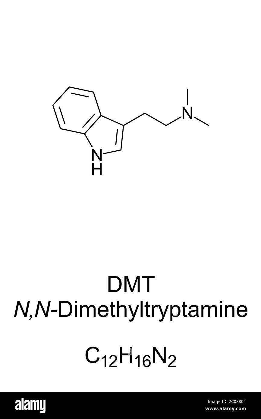 DMT, formule et structure du squelette. N,N-diméthyltryptamine, substance chimique et médicament psychédélique dans diverses cultures à des fins rituelles. Banque D'Images