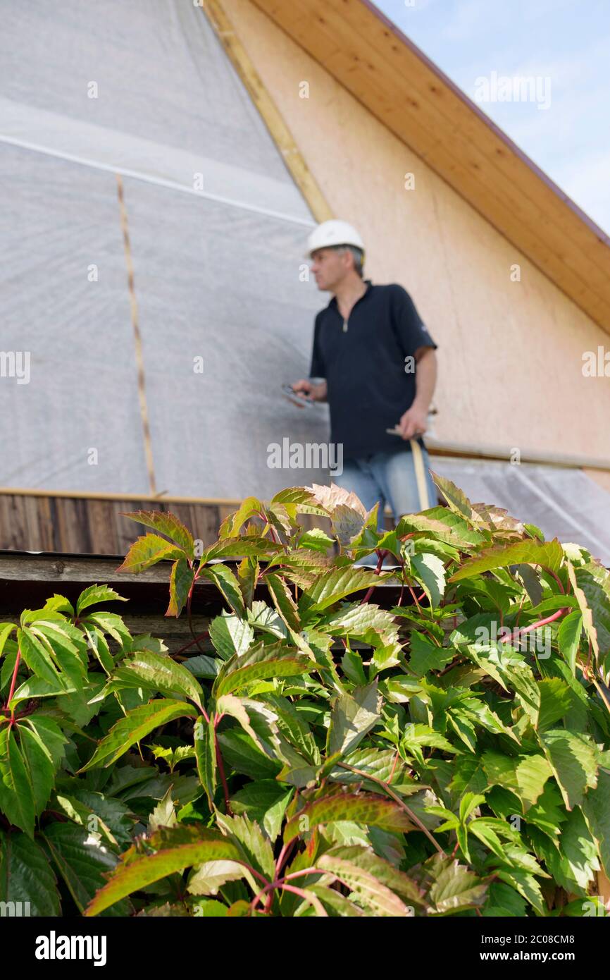 Réparation d'une maison de campagne. L'homme qui couvre la paroi d'une maison en bois avec une membrane d'imperméabilisation Banque D'Images