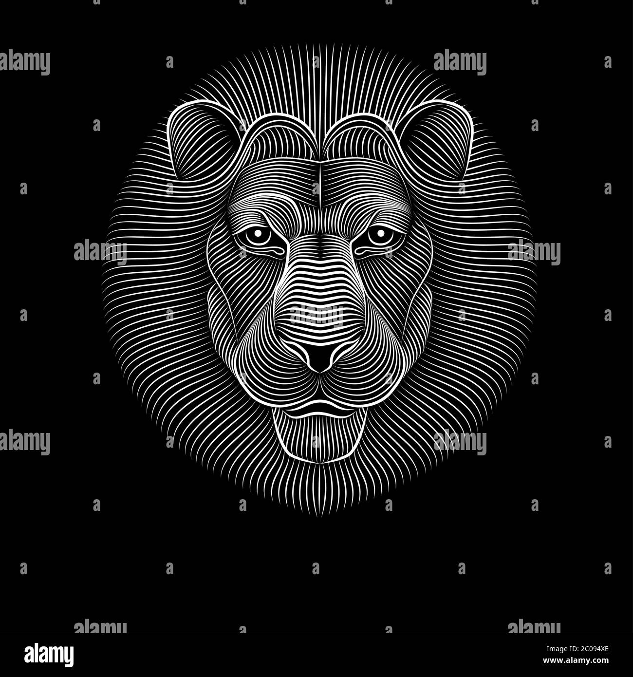 Tête de lion en lignes blanches sur fond noir. Sérieux et attentif. Illustration de Vecteur