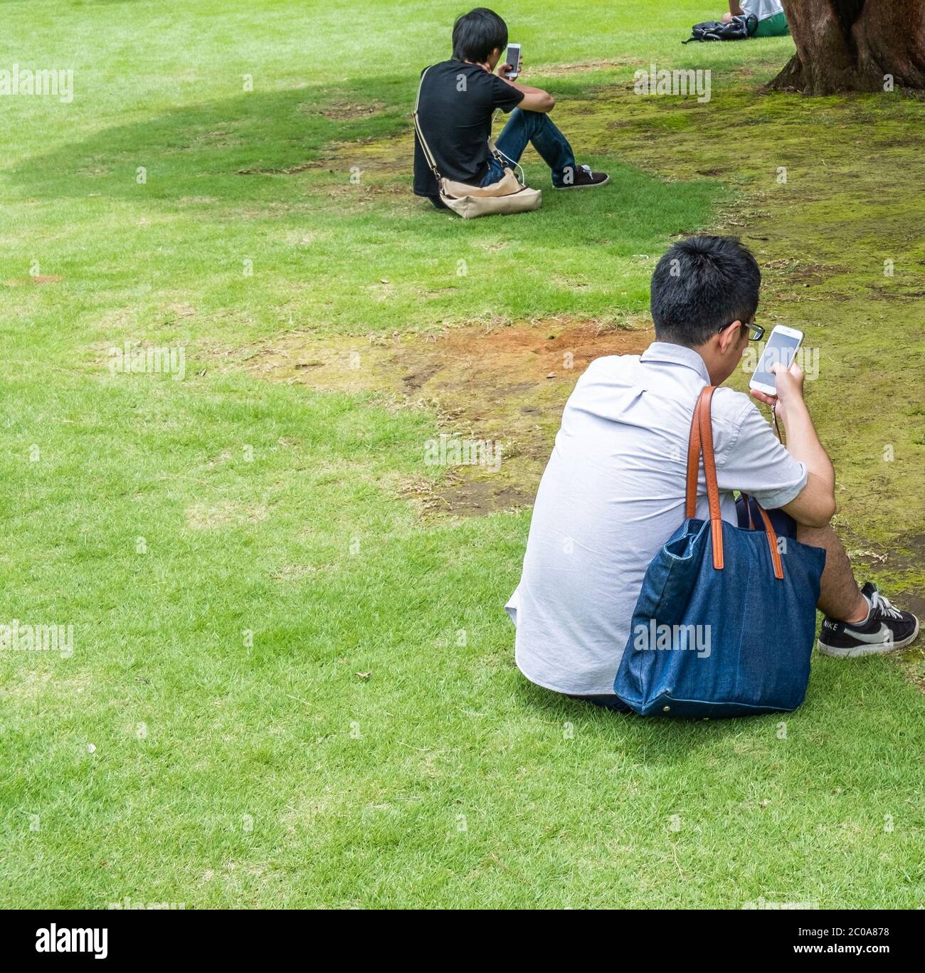 Jeune japonais avec smartphone au jardin Shinjuku Gyoen pendant l'été, Tokyo, Japon. Banque D'Images