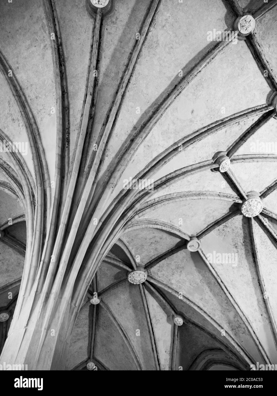 Plafond voûté côtelé gothique, détails architecturaux. Image en noir et blanc. Banque D'Images