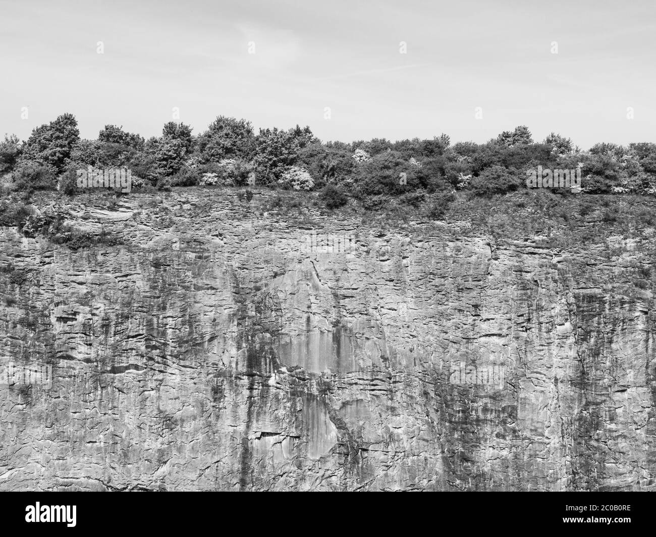 Fin du monde, mur en pierre vertical d'une ancienne carrière de chaux avec buisson sur le bord, image en noir et blanc Banque D'Images