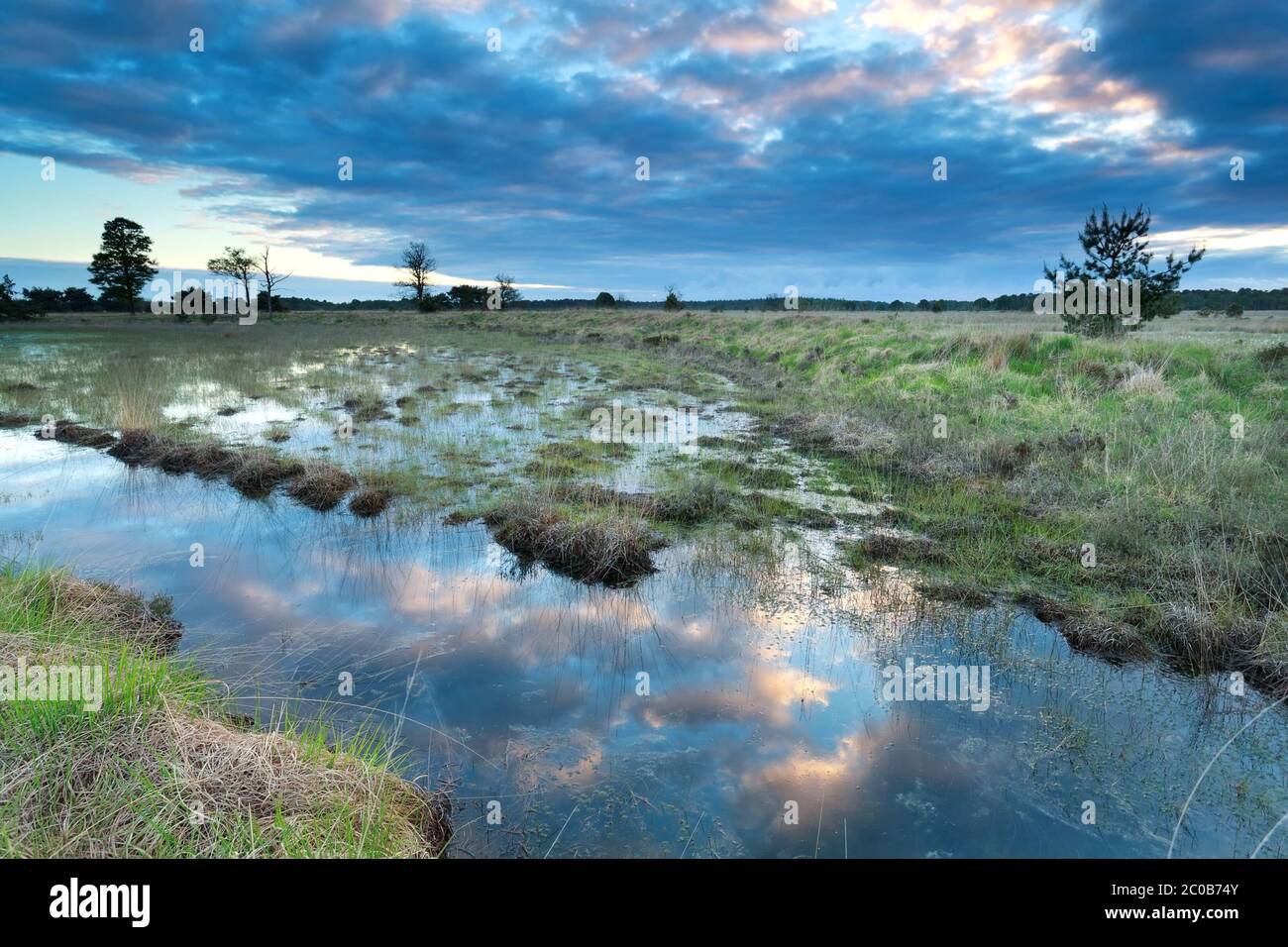 le ciel du matin se reflète dans l'eau des marais Banque D'Images