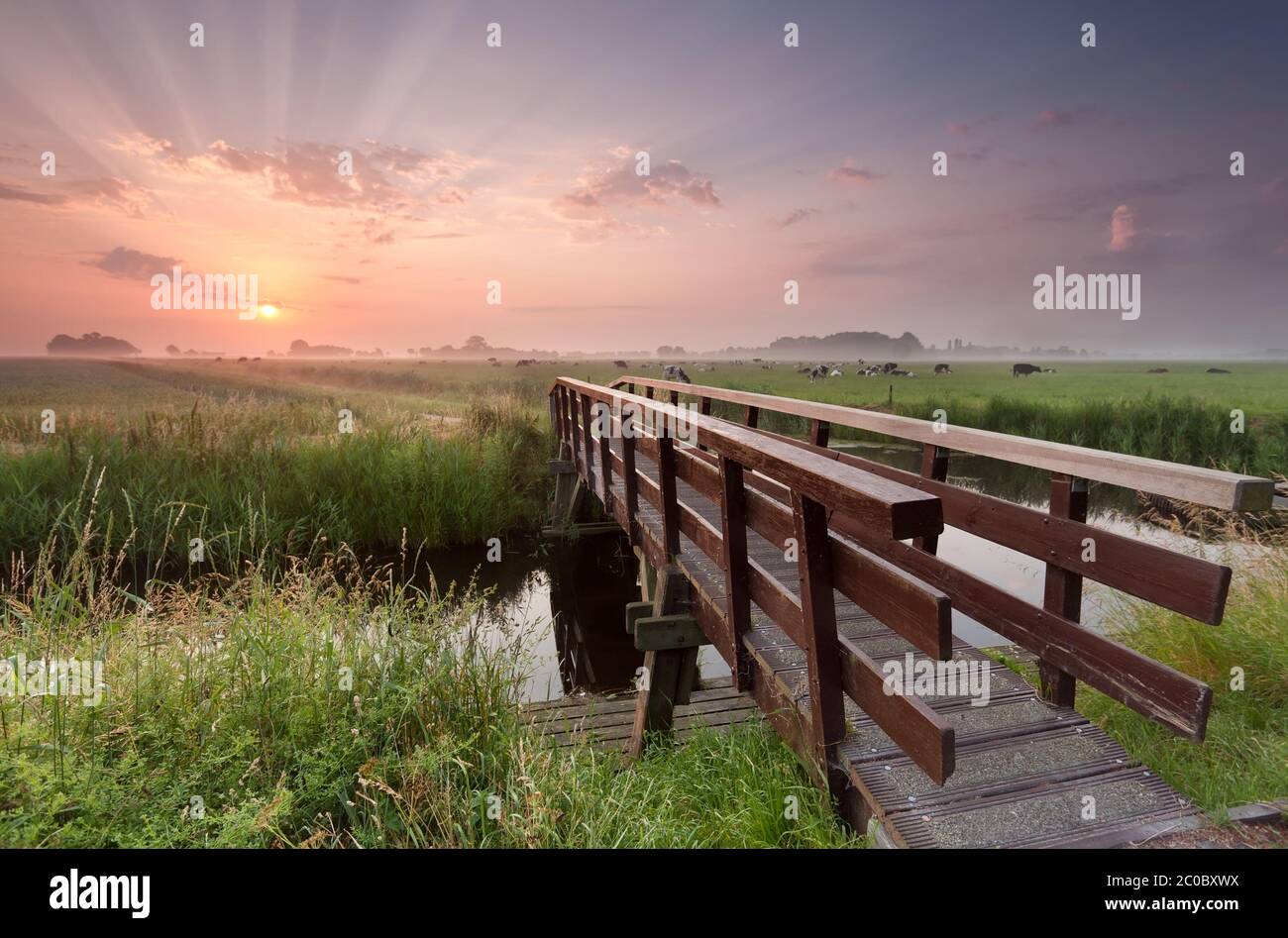 pont à vélo au-dessus de la rivière au lever du soleil Banque D'Images