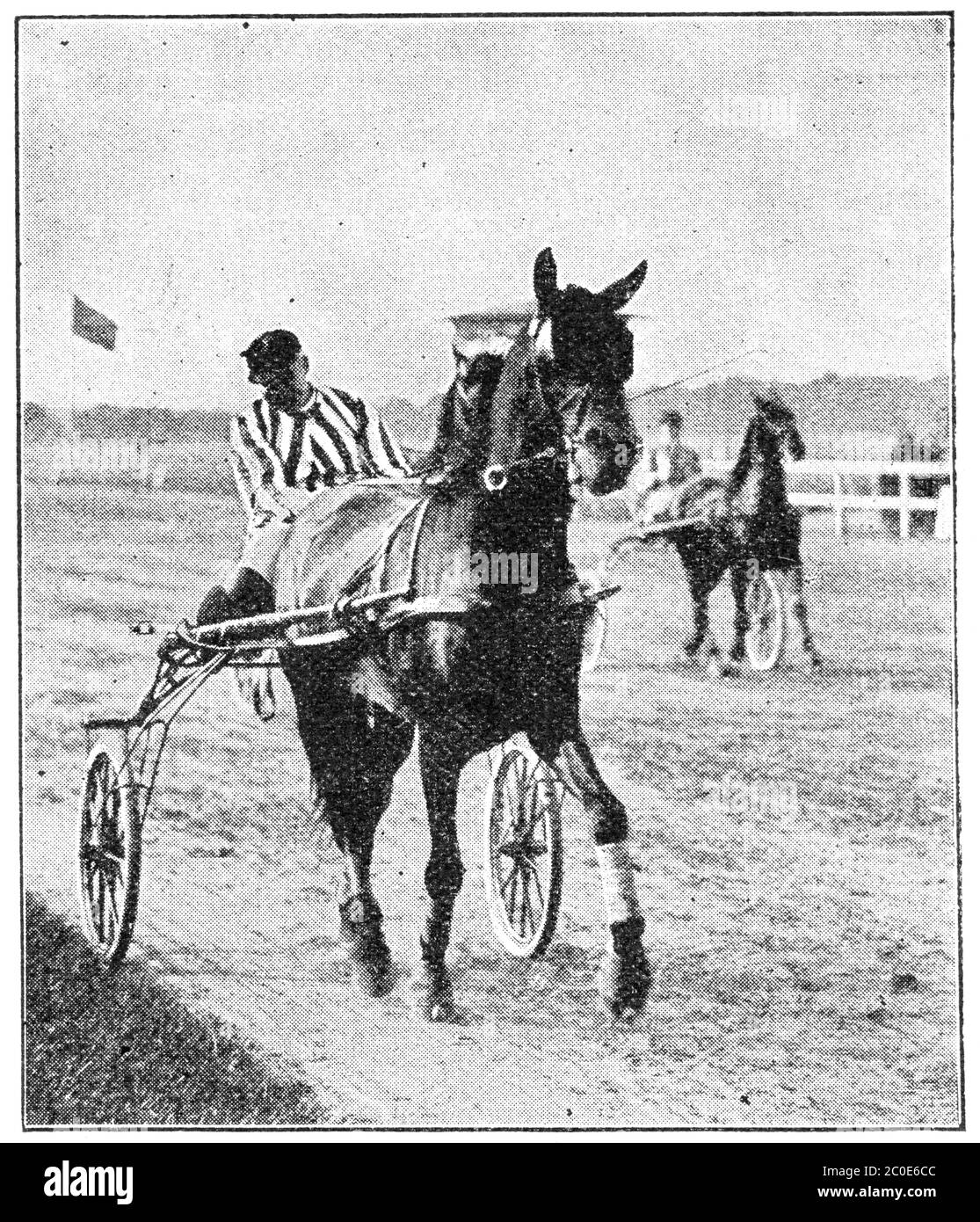 Course de harnais. Illustration du XIXe siècle. Fond blanc. Banque D'Images