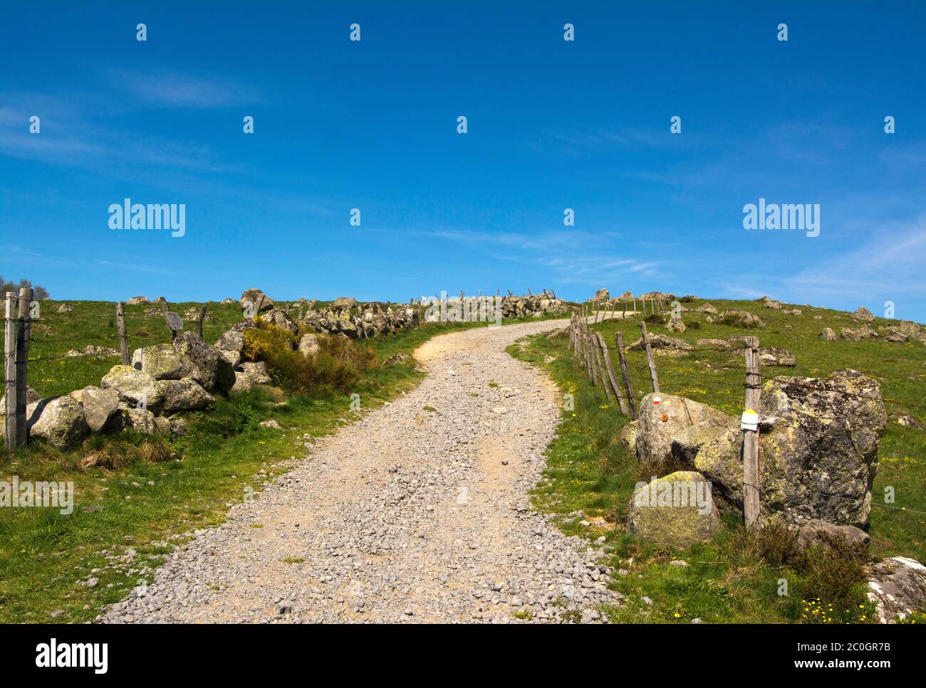 Sentier de la via Podiensis ou chemin de St-Jacques sur la voie française de Saint-Jacques, département d'Aveyron, Occitanie, France Banque D'Images