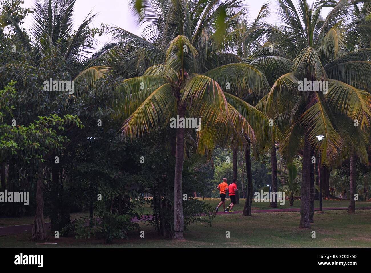 Haikou, province chinoise de Hainan. 28 mai 2020. Les citoyens courent après le coucher du soleil à Haikou, dans la province de Hainan, au sud de la Chine, le 28 mai 2020. La course de nuit est devenue un sport populaire parmi les citoyens de Haikou. Credit: Pu Xiaoxu/Xinhua/Alay Live News Banque D'Images