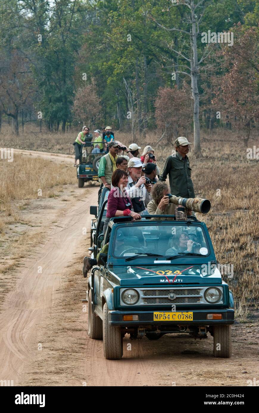 Écotourisme en Inde à la réserve de tigre de Kanha Banque D'Images