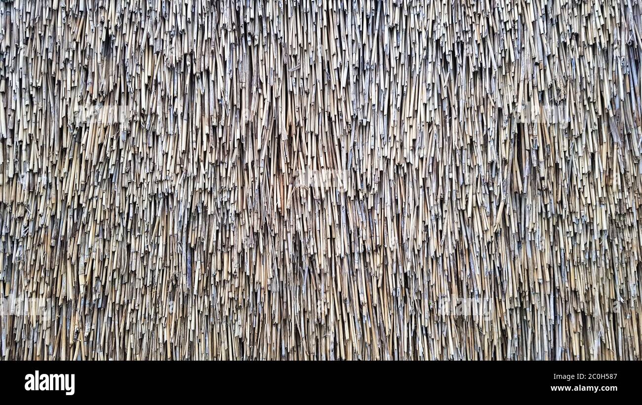 Motif De Paille Pelouse Toit Ou Mur Arri re plan De Toit En Paille motif-de-paille-pelouse-toit-ou-mur-arri-re-plan-de-toit-en-paille