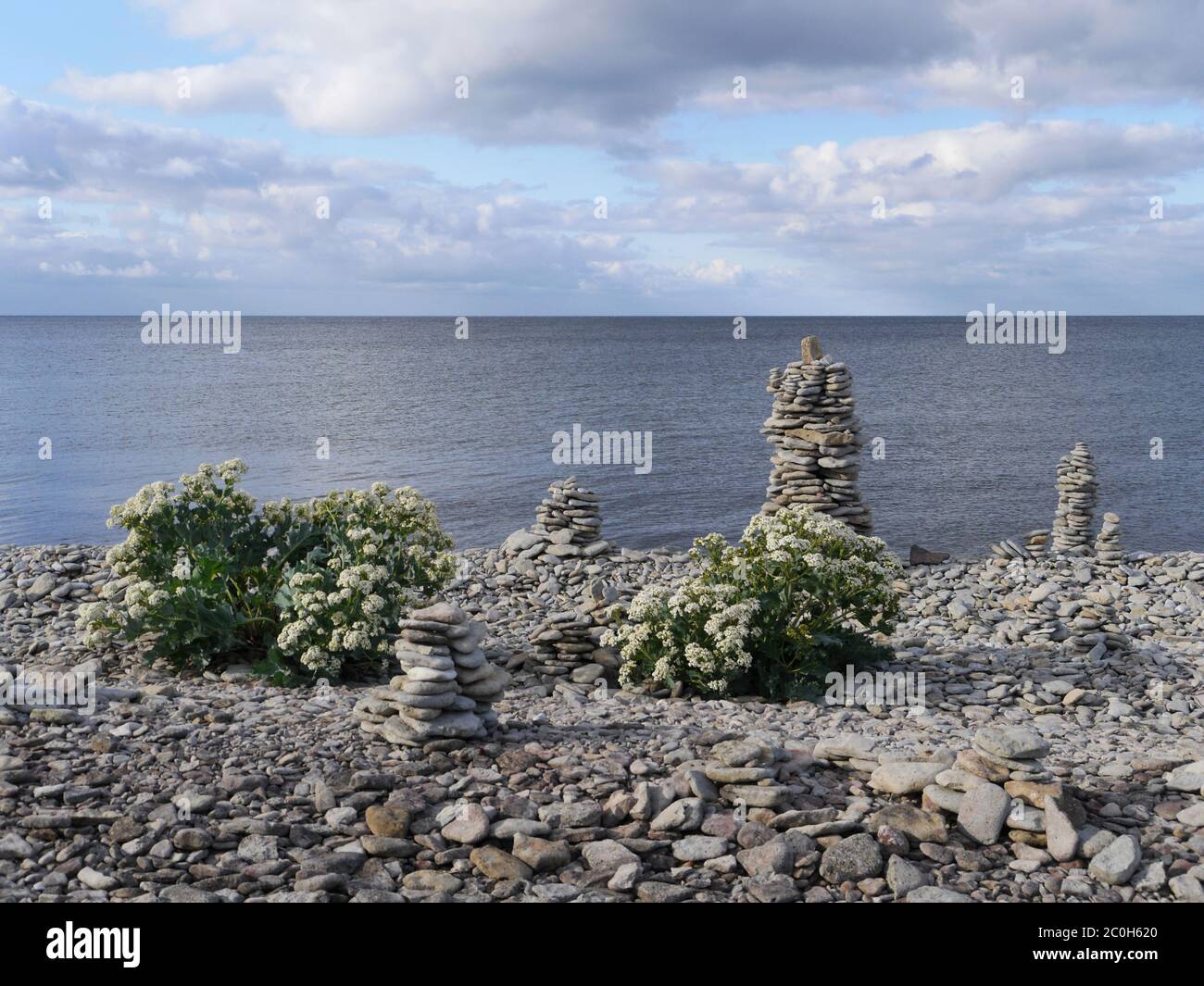 Côte de la mer Baltique, Saarema, estonie Banque D'Images