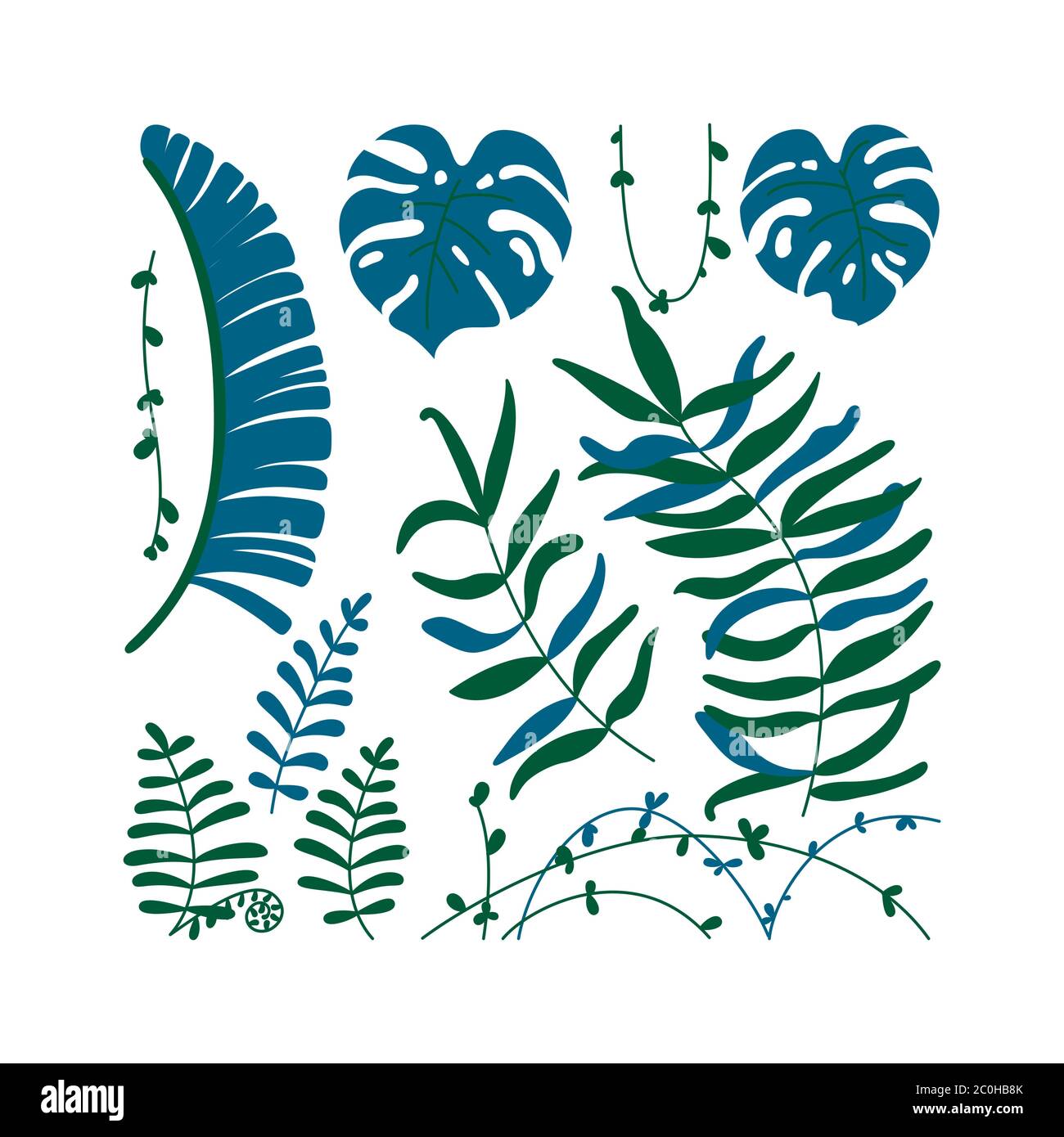 Feuilles et lianes isolées de la jungle. Modèle avec thème tropical. Illustration vectorielle de style plat Illustration de Vecteur