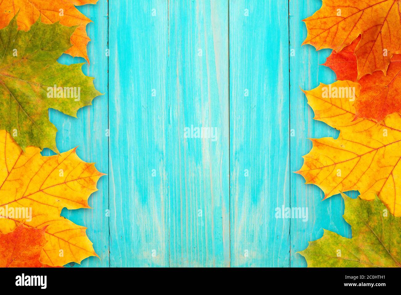 Cadre de l'automne sur un panneau bleu Banque D'Images