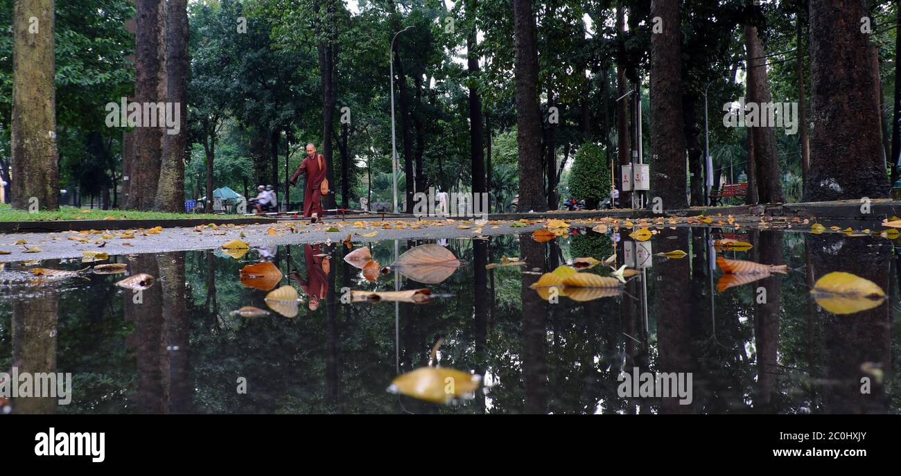 Paysage miroir au parc Tao Dan après la pluie, belle vue panoramique, arbres verts se réfléchissent sur la flaque, feuille d'automne jaune sur l'eau, marche de moine en plein air Banque D'Images