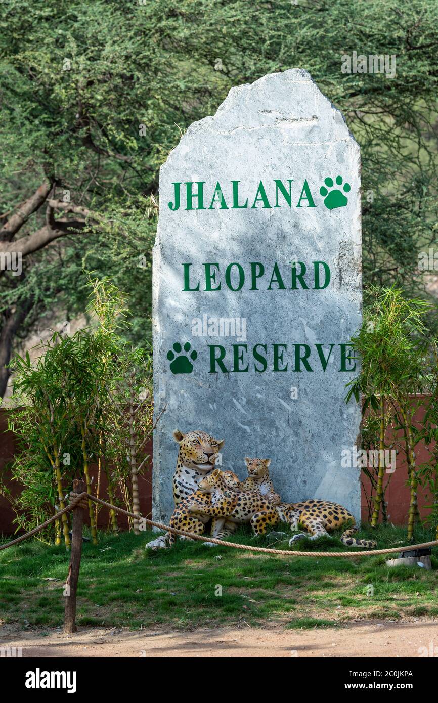 jaipur , rajasthan / inde - 9 juin 2020 : Rock écrit avec jhalana leopard réserve aussi dans le fond de la roche mère leopard avec des petits assis insid Banque D'Images