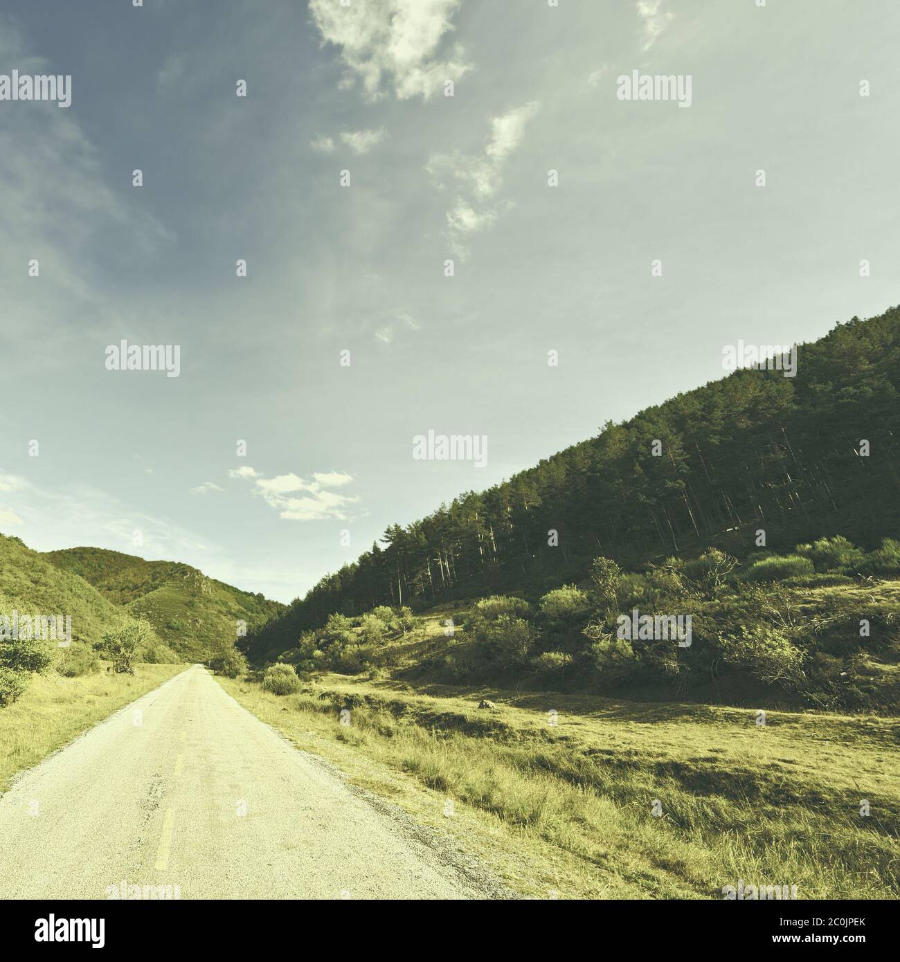 Route Banque D'Images