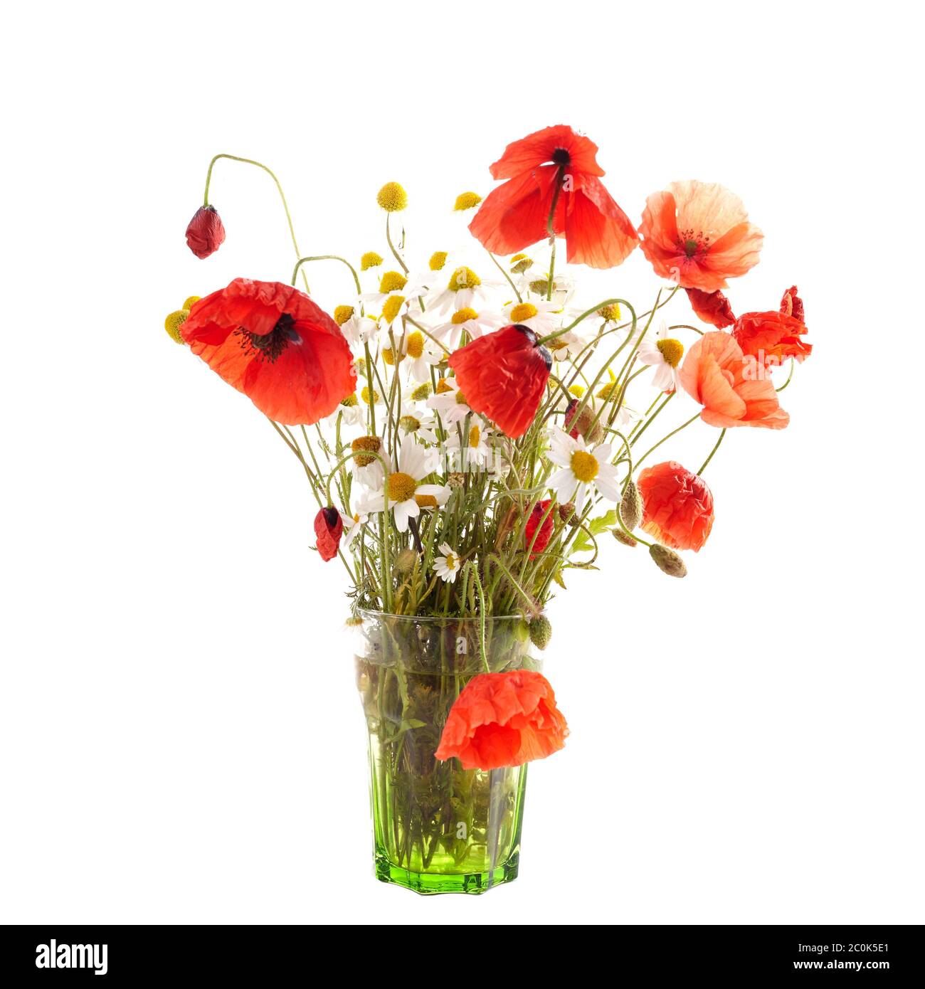 Bouquet de fleurs sauvages de pavot et de pâquerette isolé sur fond blanc. Fond floral. Banque D'Images