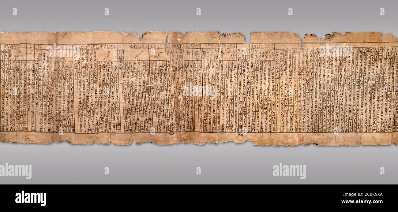 Livre égyptien antique du papyrus mort - Spell 81a en supposant la forme d'un lotus associé au dieu solaire, Livre des morts de Iufankh, Ptolemaic Banque D'Images