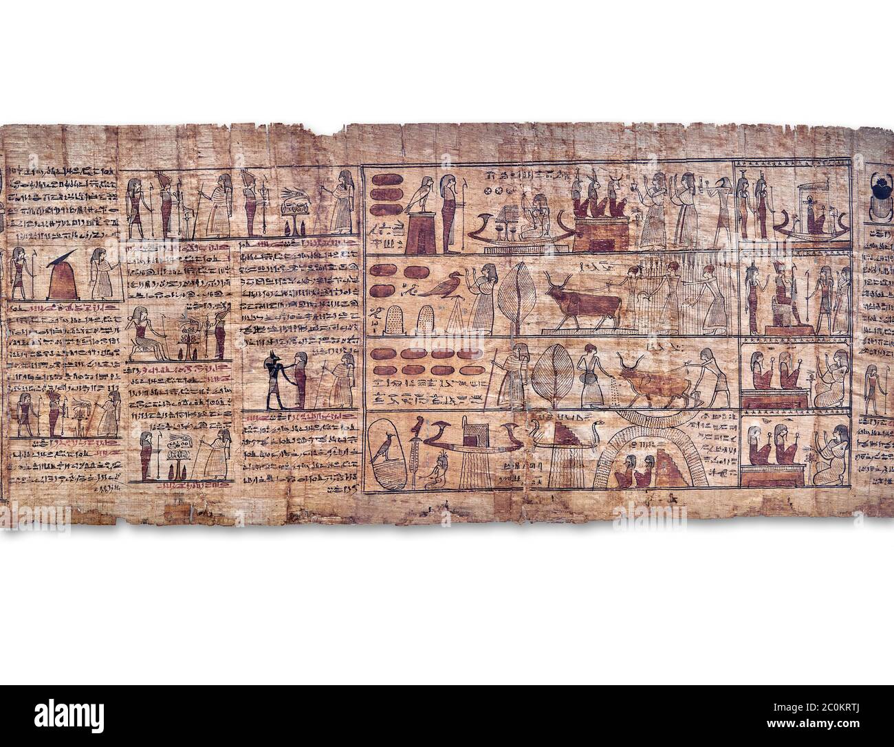 Livre égyptien antique du papyrus mort - période ptoléméenne (722-30BC).Musée égyptien de Turin. Fond blanc Banque D'Images