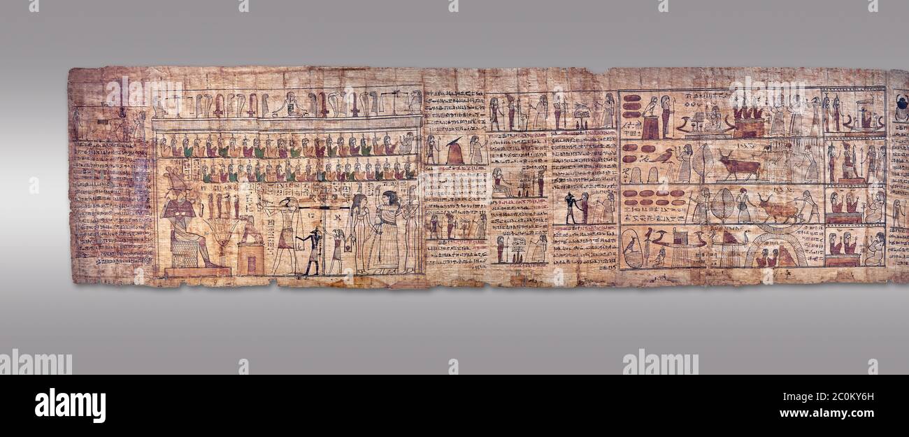 Livre égyptien antique du papyrus mort - période ptoléméenne (722-30BC).Musée égyptien de Turin. Fond gris Banque D'Images