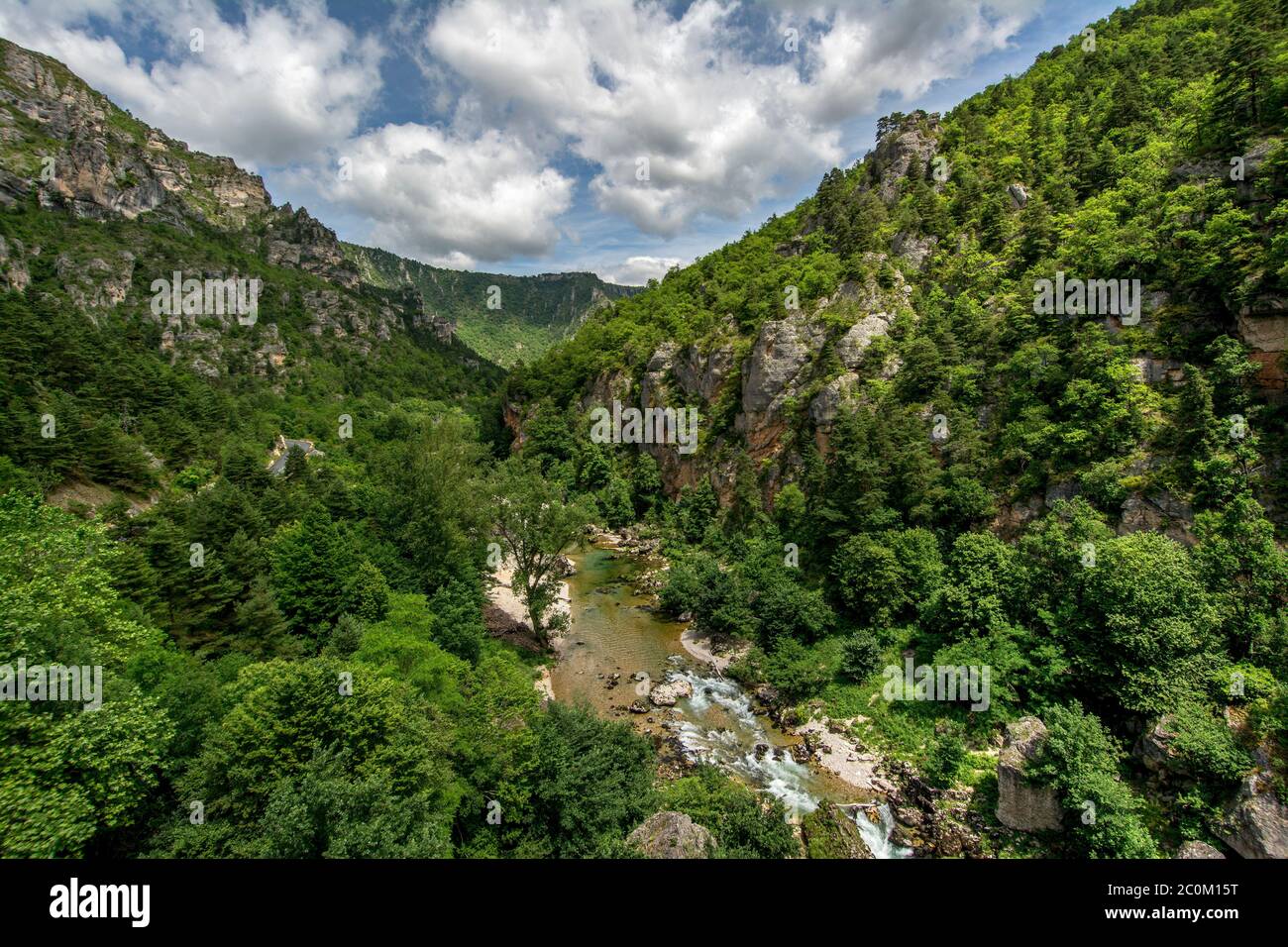 Gorges du Tarn. Patrimoine mondial de l'UNESCO. Parc naturel régional des Grands Causses. Lozère. Occitanie. France Banque D'Images