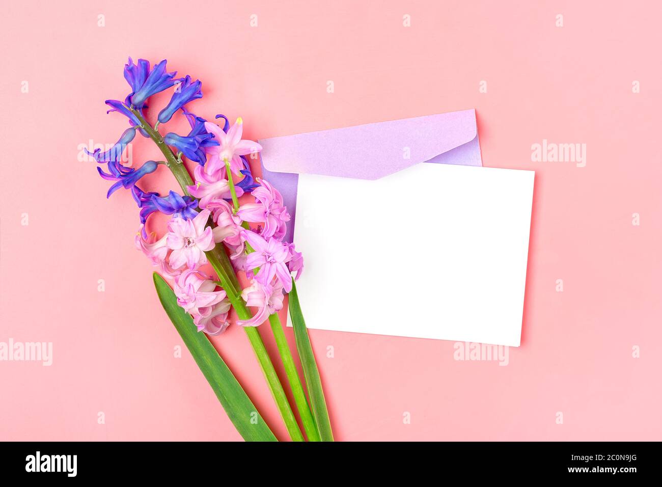 Bouquet de fleurs jacinthes, enveloppe lilas et papier blanc sur fond rose Flat Lay vue du dessus espace copie maquette Sesonal, concept éducatif Banque D'Images