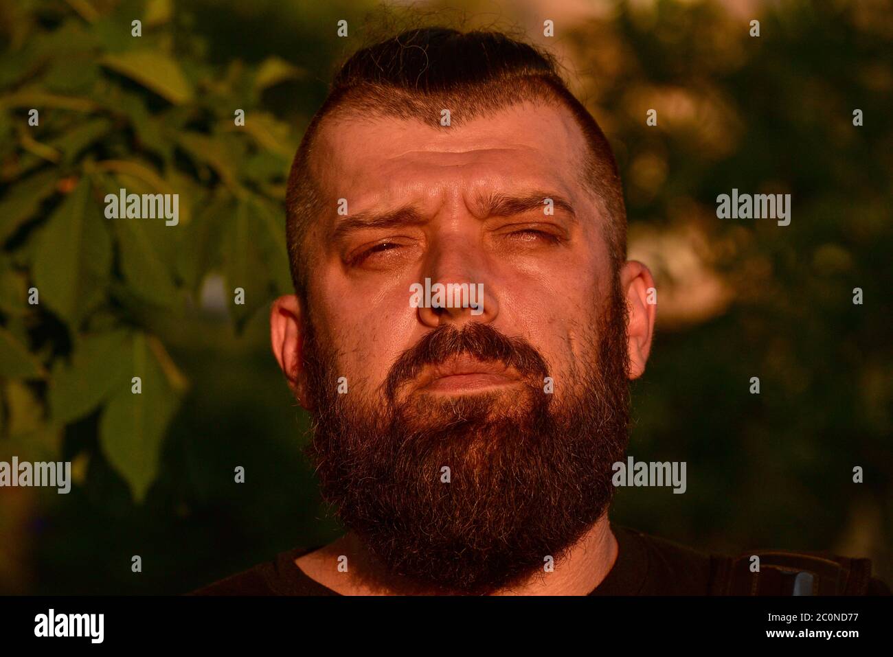 Homme Avec Une Barbe Sur Fond De Verdure. Au Coucher Du Soleil. Grand  Portrait Facial D'un Homme Barbu De 40 Ans. Portrait Photo Stock - Alamy