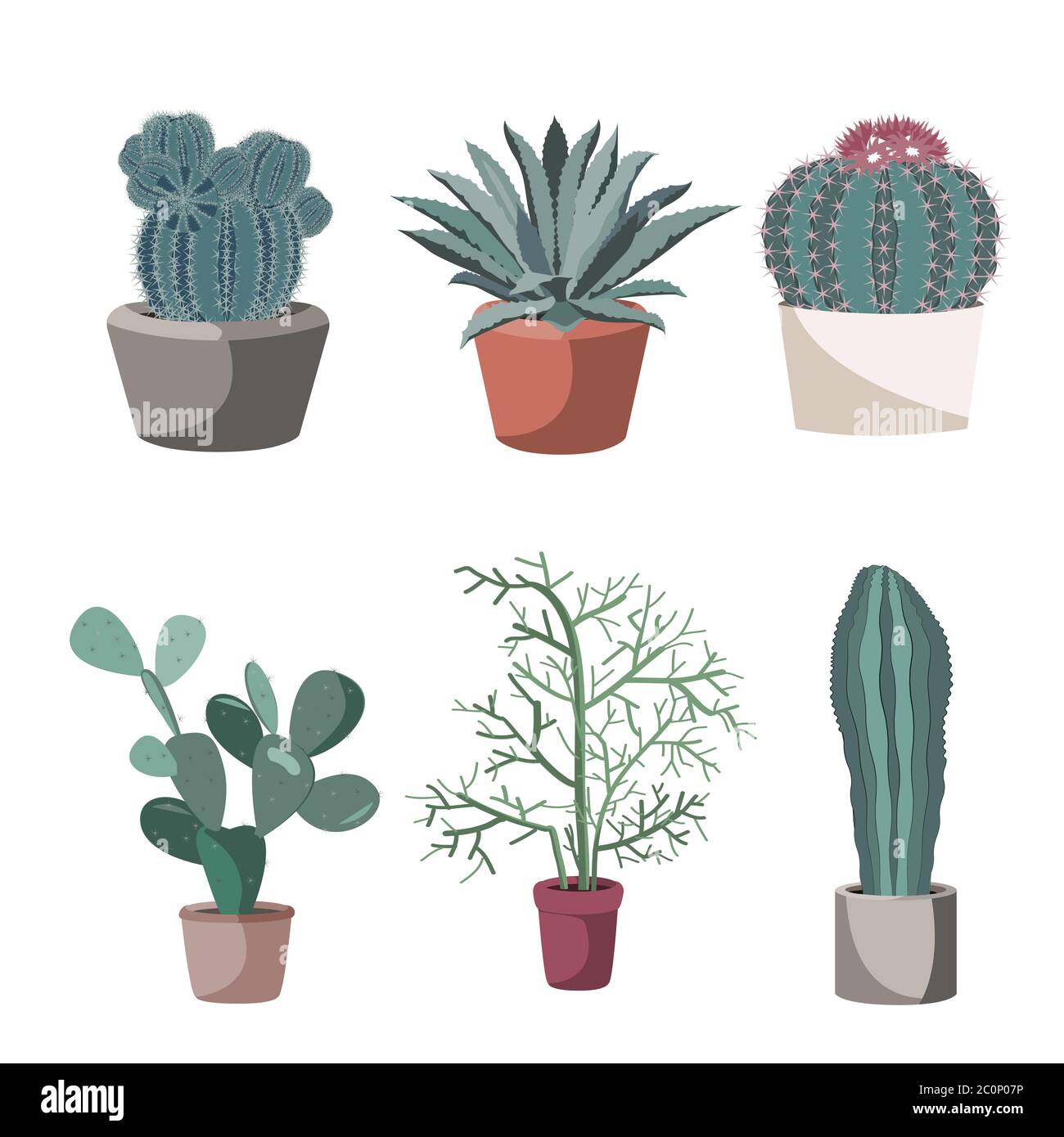Succulent et cactus dans les pots de fleurs. Pion, tirupalli, agave. Plantes en pot isolées sur une illustration blanche, à vecteur plat Illustration de Vecteur Succulent et cactus dans les pots de fleurs. Pion, tirupalli, agave. Plantes en pot isolées sur une illustration blanche, à vecteur plat Illustration de Vecteur