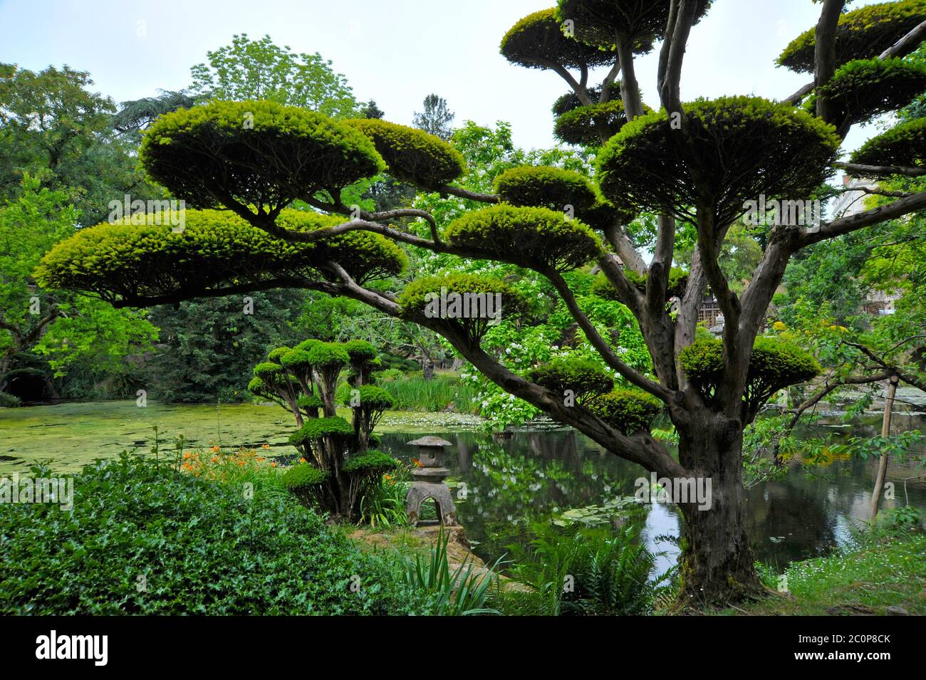 Jardins japonais Maulevrier France. Banque D'Images