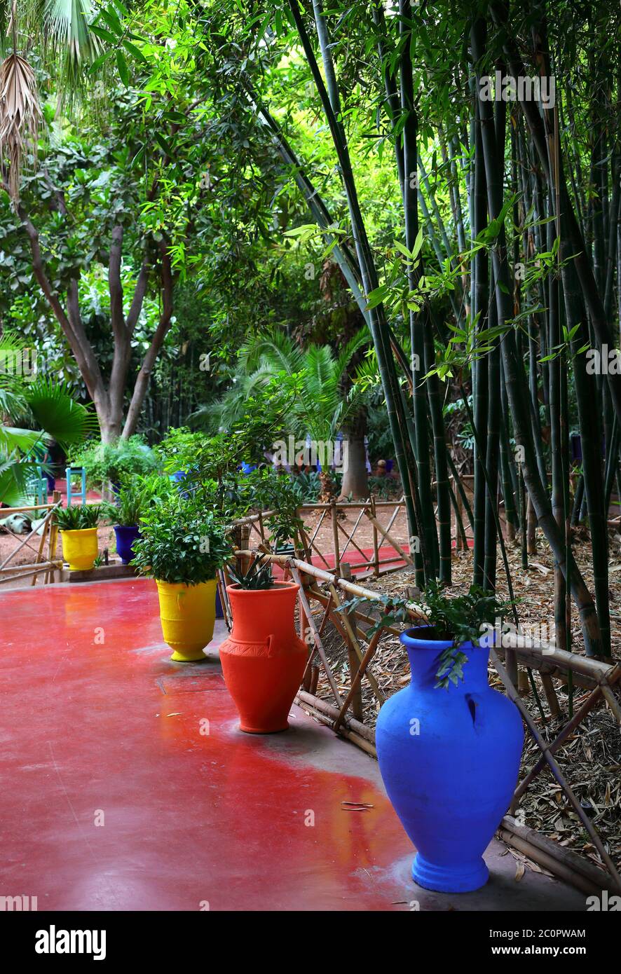 Détail de la villa Majorelle et du jardin, autrefois propriété d'Yves Saint Laurant - aujourd'hui une attraction touristique très populaire. Banque D'Images
