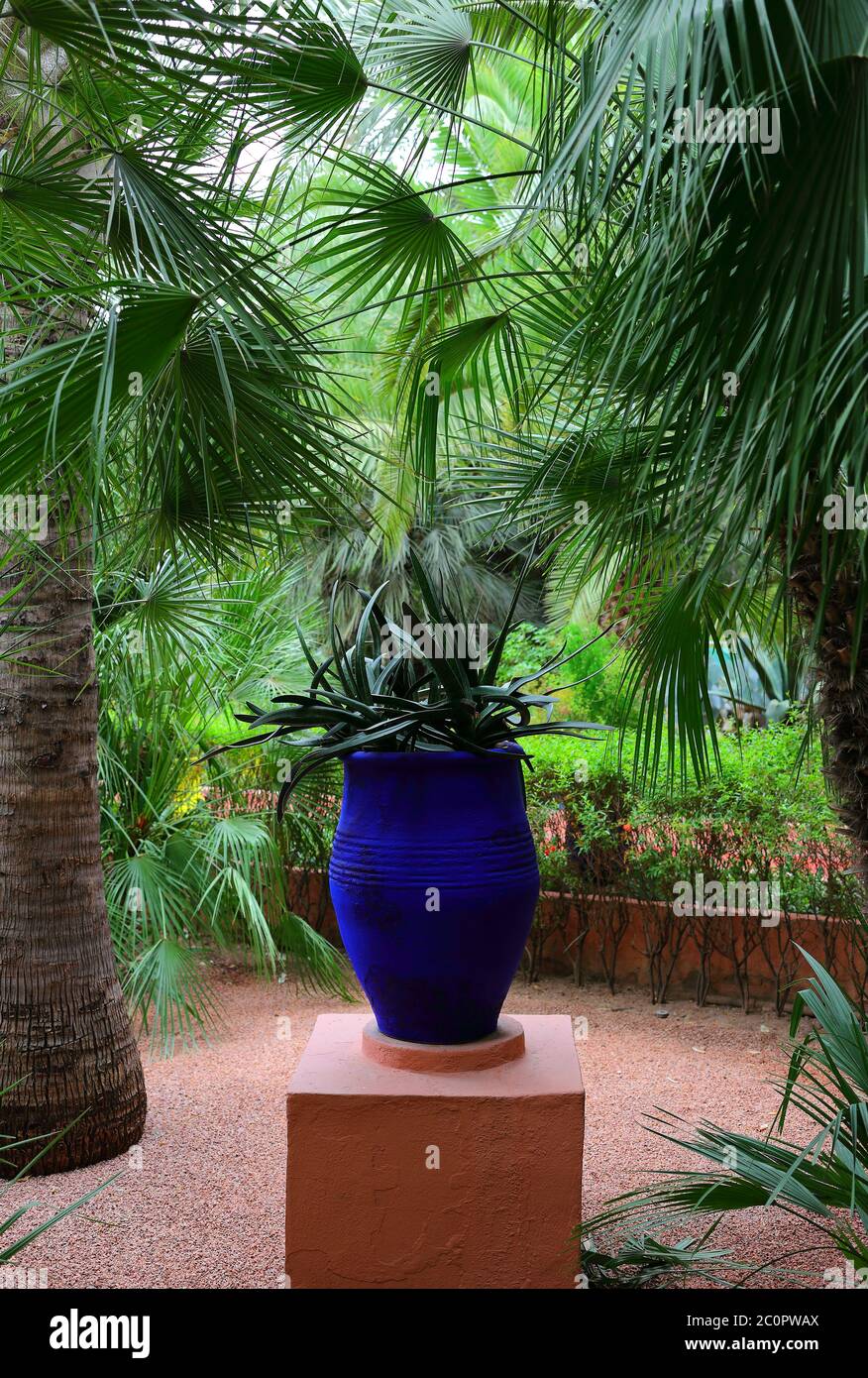 Détail de la villa Majorelle et du jardin, autrefois propriété d'Yves Saint Laurant - aujourd'hui une attraction touristique très populaire. Banque D'Images