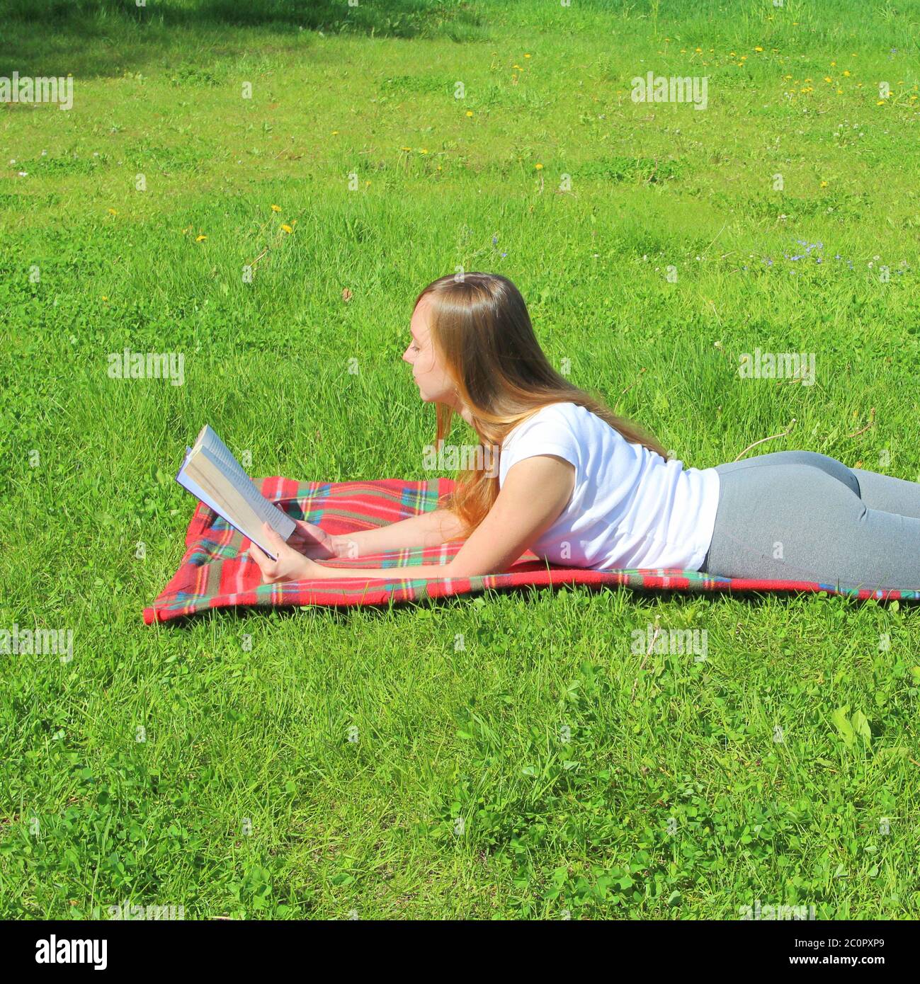 Une belle jeune fille blanche dans un T-shirt blanc et avec de longs cheveux se trouve sur un écossais rouge, sur l'herbe verte, sur la pelouse et lire le livre. Banque D'Images